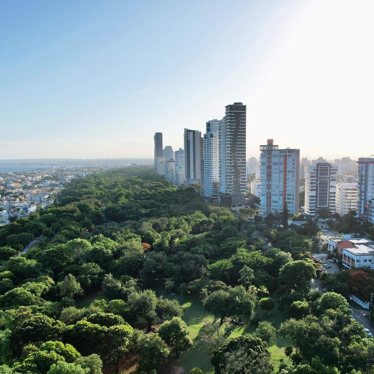 Park and skyline at daytime